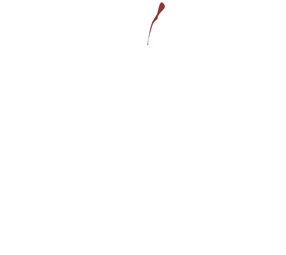 Saveur Catering 